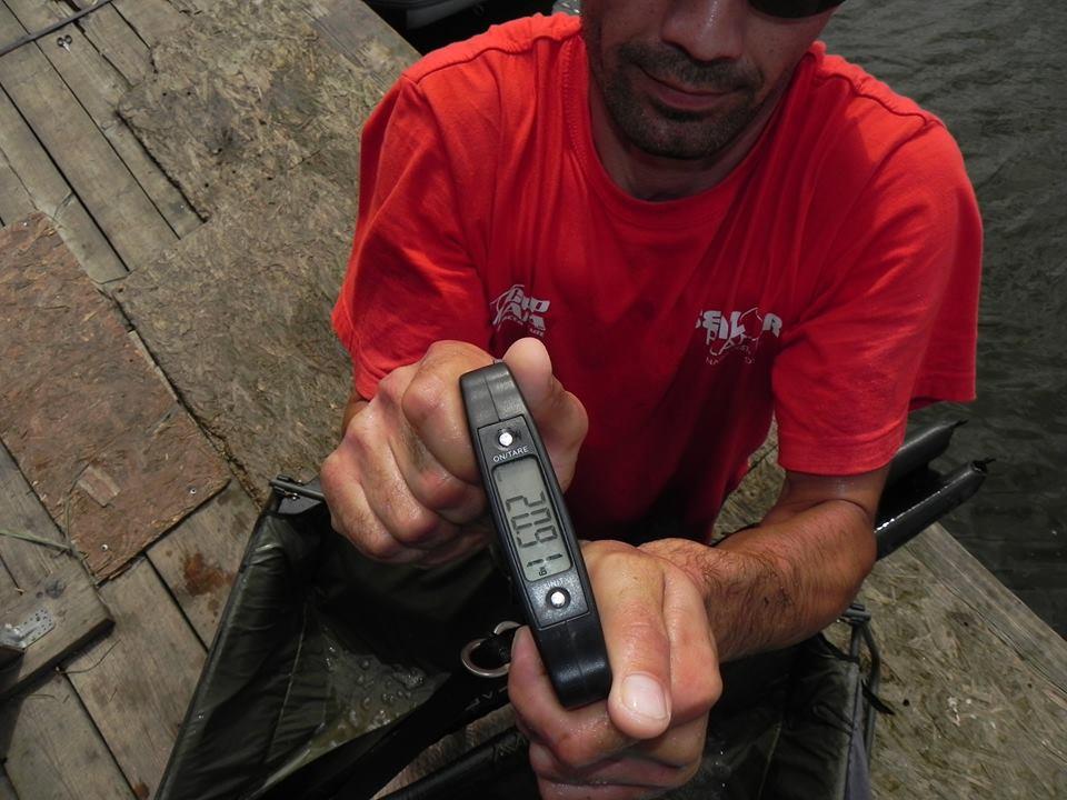 Tancabesti 31 aug- 7 sep  - 9837787238078676848402177644763314509251n.jpg